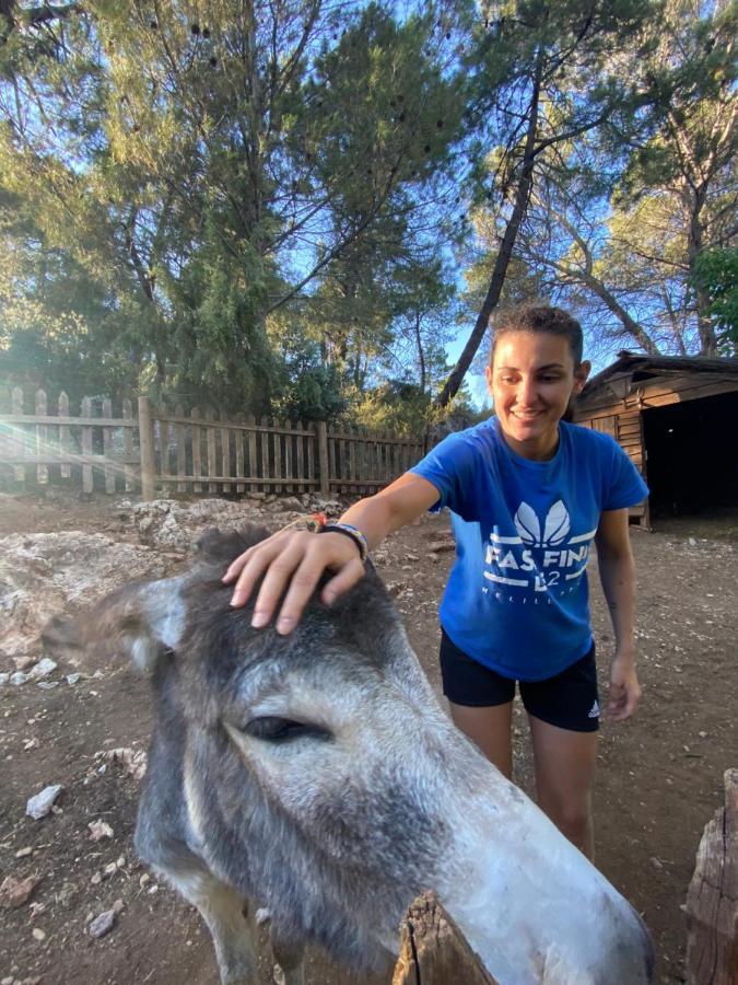 Alojamiento Rural Las Maravillas Cañada Catena 외부 사진